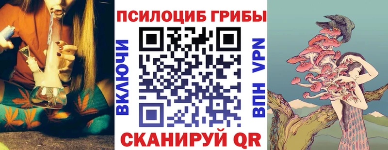 OMG сайт  как найти закладки  Сафоново  Галлюциногенные грибы Cubensis 